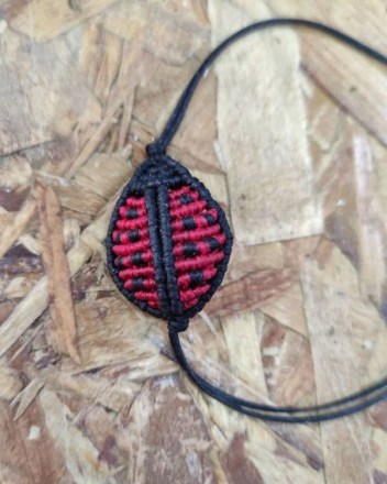 10  α  μακραμρ πασχαλιτσα (1)